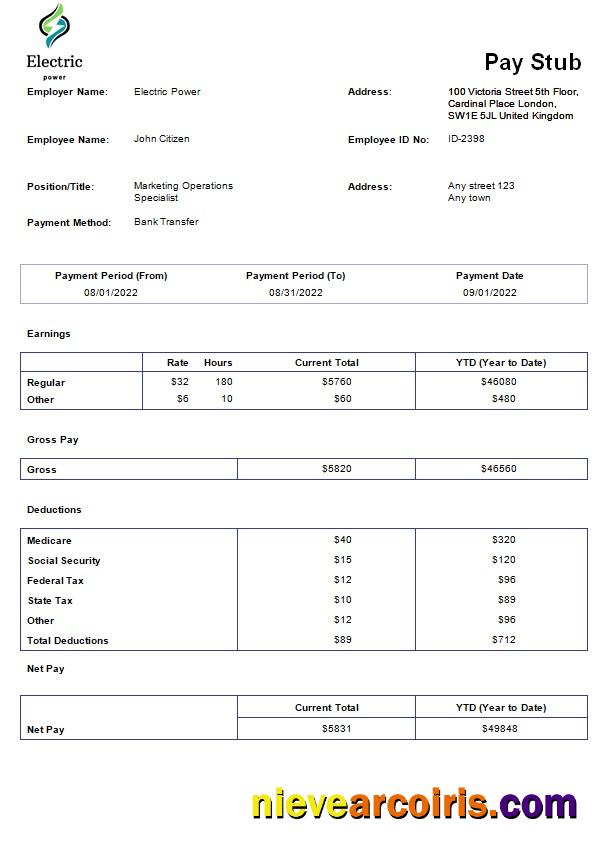 Electric power pay stub